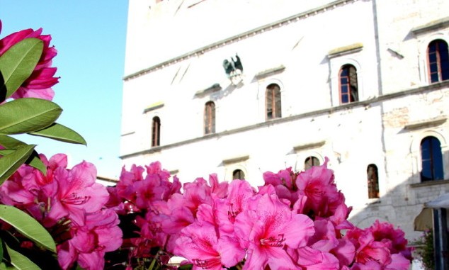 TodiFiorita 2016