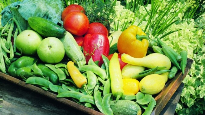 Cittadella Agraria d’Autunno a Todi escursioni e visite guidate