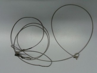 Catturava ungolati con lacci, fermato un uomo