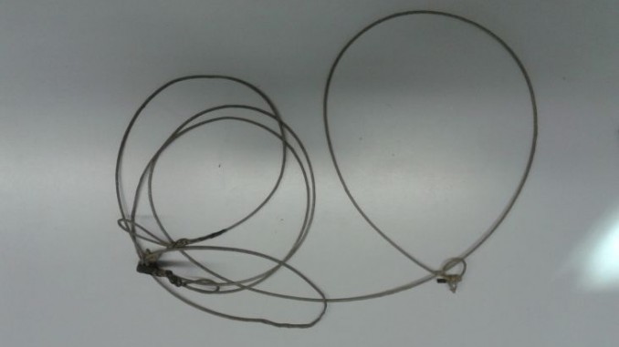 Catturava ungolati con lacci, fermato un uomo