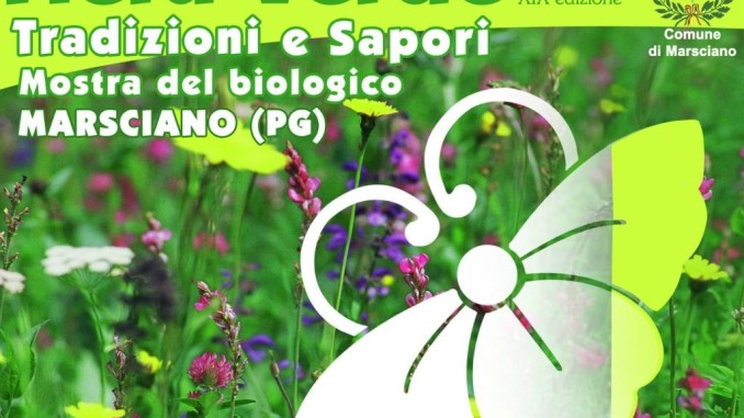 Fiera Verde a Marsciano, tutto pronto per la mostra mercato Fiera Verde a Marsciano, tutto pronto per la mostra mercato