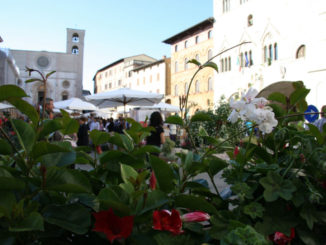 Todi Fiorita: ai nastri di partenza la nona edizione