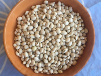 A Todi Fiorita il fagiolo di Collelungo