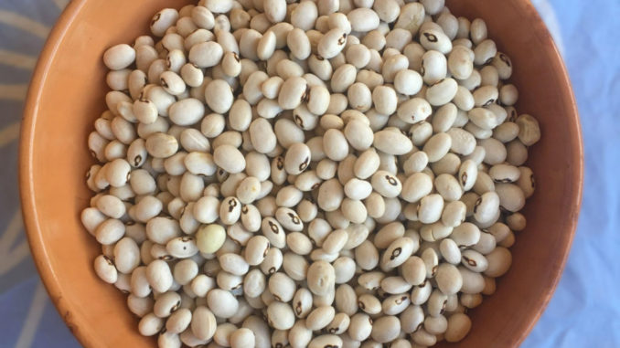 A Todi Fiorita il fagiolo di Collelungo