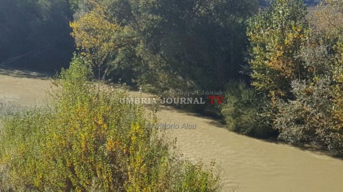 Trovata una giacca lungo il Tevere, è della donna scomparsa