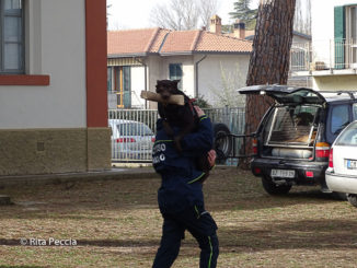 Conoscenza del rischio sismico, a Passaggio di Bettona la Giornata della sicurezza
