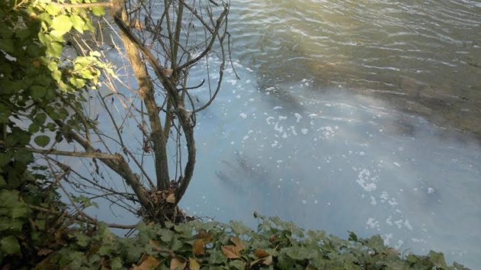 Inquinavano il torrente Genna, sequestrato allevamento a Marsciano