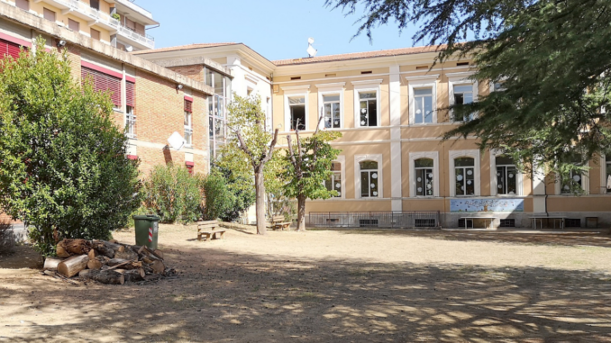 Messa in sicurezza alberature scuola primaria IV Novembre di Marsciano