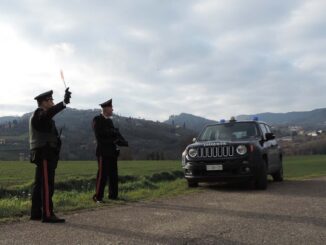 Entra nel parcheggio di abitazione tentare di rubare un furgone