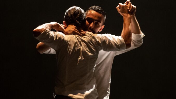 Teatro Excelsior Bettona danza contemporanea S Dance Company