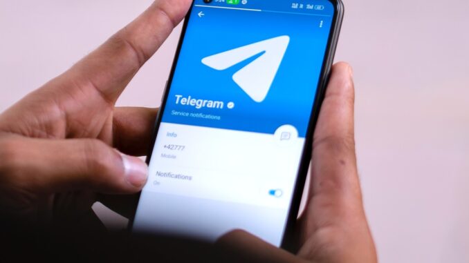 Comune di Todi su Telegram, nuovo passo nella comunicazione