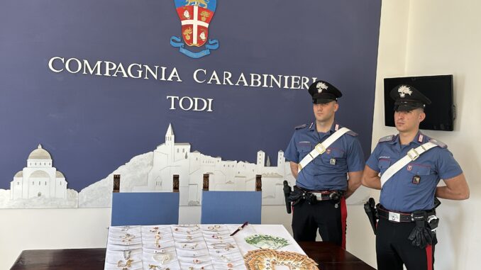 Truffa ad anziana: i Carabinieri le restituiscono l’oro e i contanti