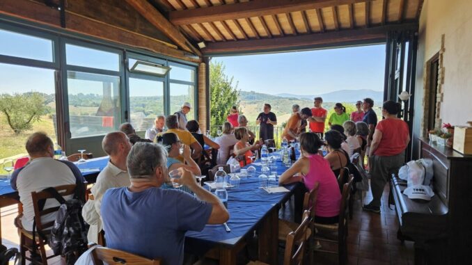 Media Valle TOUR, l'estate 2023 nelle risposte degli operatori