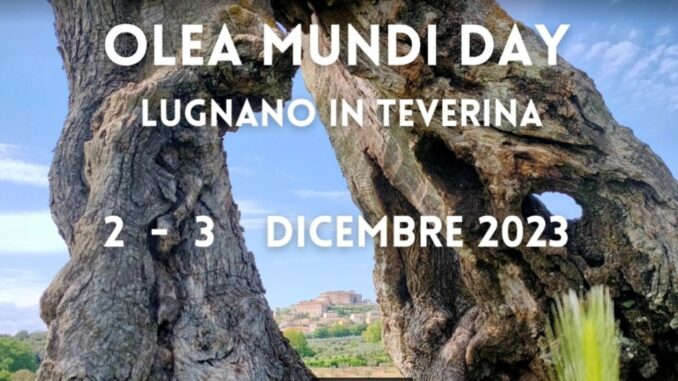 Olea Mundi Day: celebrando cultura, natura e scienza dell’olivo
