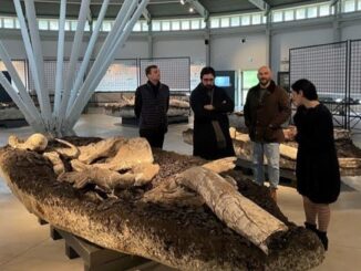 Rinascita di Pietrafitta: Il Progetto di Riqualificazione Ambientale e Culturale Guidato da Costantino D’Orazio