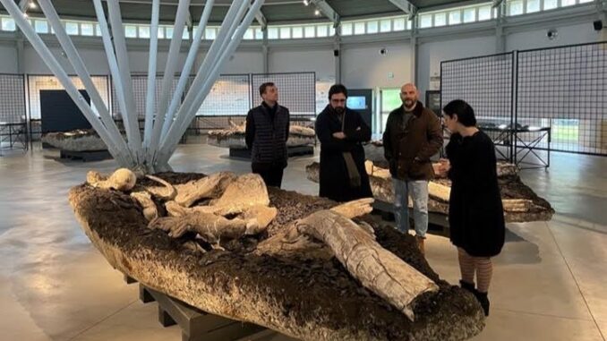 Rinascita di Pietrafitta: Il Progetto di Riqualificazione Ambientale e Culturale Guidato da Costantino D’Orazio