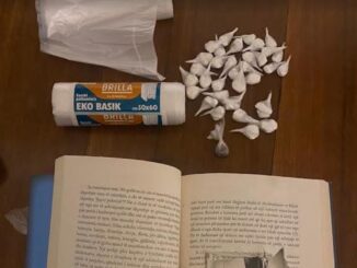 Cocaina nascosta tra le pagine di un libro, arrestato dai Carabinieri