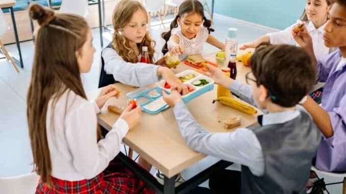 Iscrizioni aperte servizio mensa scolastica 2024/2025 a Marsciano