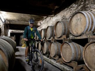 Todi sempre più terra di vini, con il Grechetto punta di diamante
