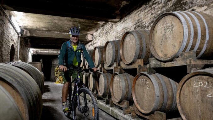 Todi sempre più terra di vini, con il Grechetto punta di diamante