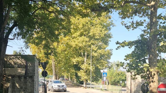 Lavori stradali a Todi: modifiche alla viabilità