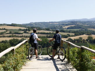 DOC Todi