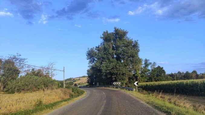 Riapertura a senso unico alternato SP 340/1 da lunedì