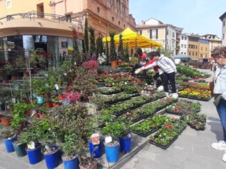 Fiera Verde torna a Marsciano, focus su agricoltura e biodiversità