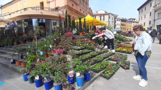 Fiera Verde torna a Marsciano, focus su agricoltura e biodiversità