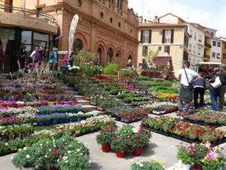 Cresce l’attesa per la XXV edizione di Fiera Verde