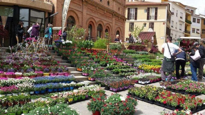 Cresce l’attesa per la XXV edizione di Fiera Verde