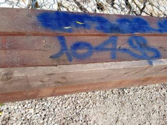 Todi, Parco degli Olivi presentata la Denuncia per vandalismo