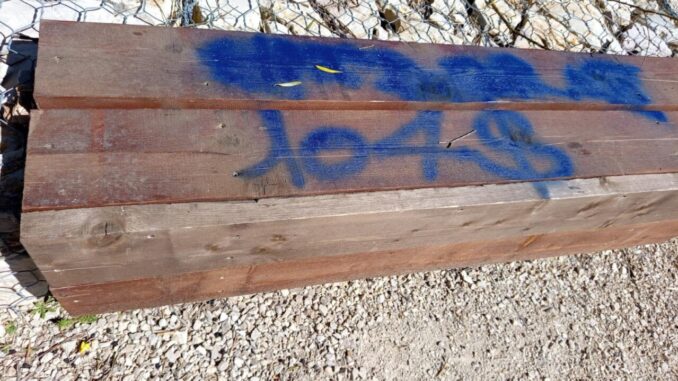 Todi, Parco degli Olivi presentata la Denuncia per vandalismo Todi, Parco degli Olivi presentata la Denuncia per vandalismo