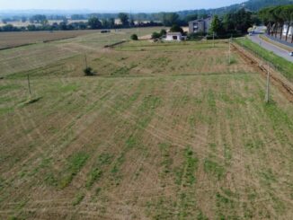 Pantalla, comitato contro impianto fotovoltaico da 4 mega