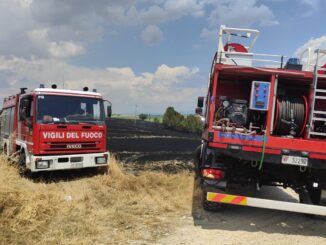 Incendio tra Marsciano e Cerqueto: ettari di grano in fiamme